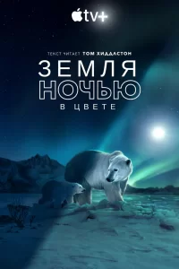 Земля ночью в цвете (2020) онлайн