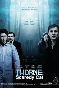 Торн: Пуганая ворона (2010) онлайн