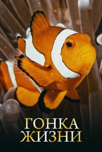 Гонка жизни (2015) смотреть онлайн